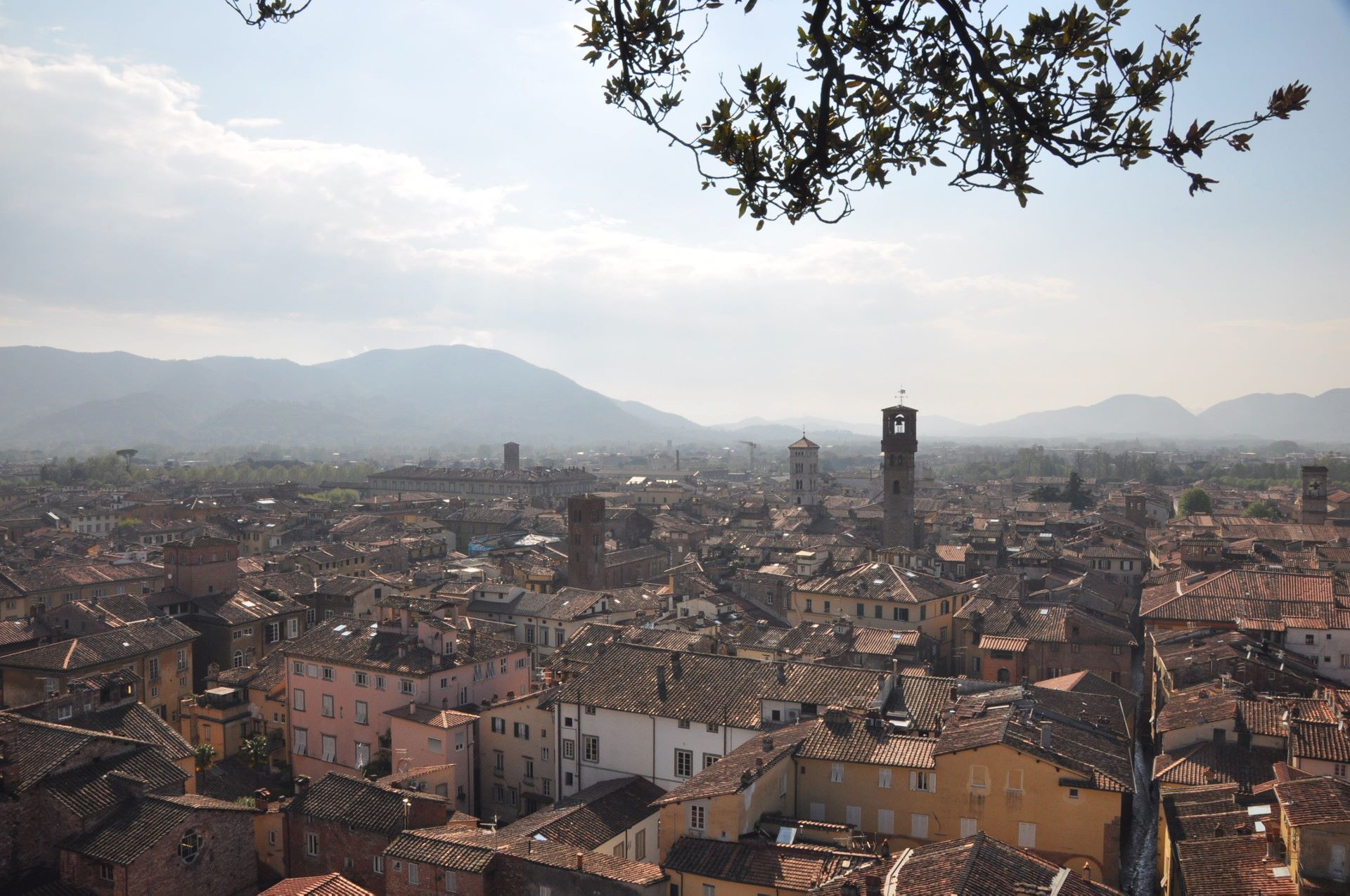 Lucca, Torre Guinigi